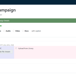 WhatsApp Bulk Broadcast Messaging Service