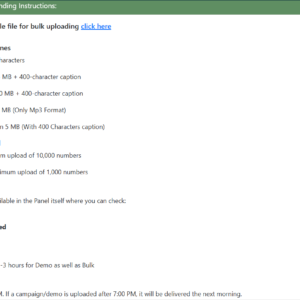 WhatsApp Bulk Broadcast Messaging Service